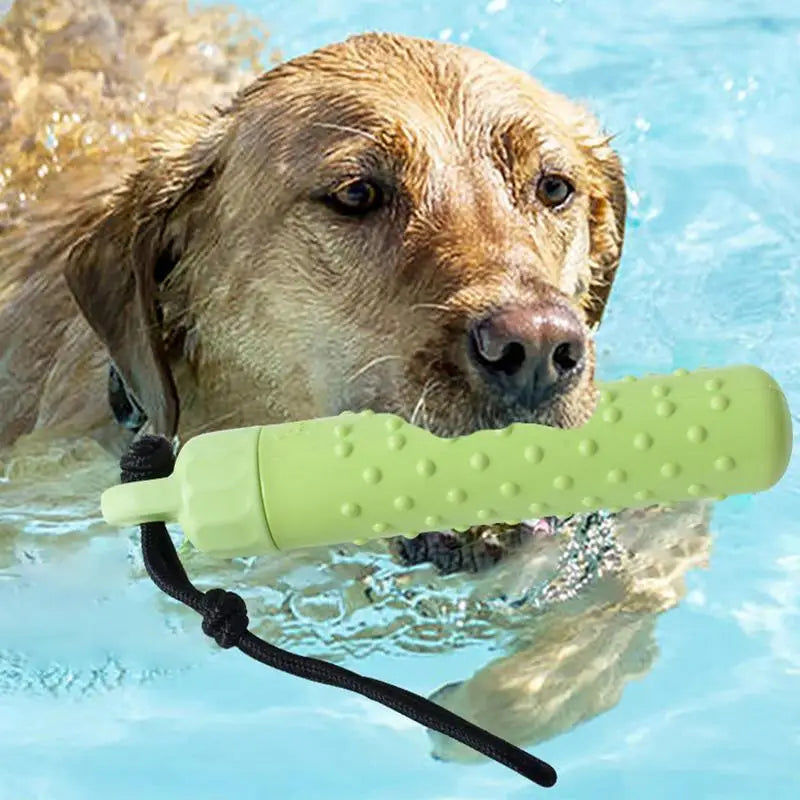 Floating Water Toy