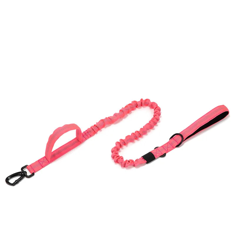 Zooomies Collar and Leash